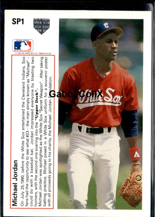 1991 Upper Deck #SP1 Michael Jordan #ishv - Back
